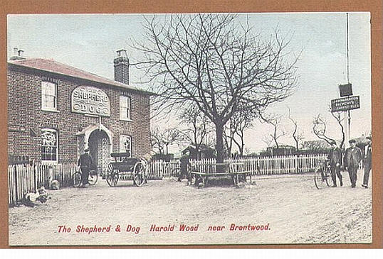 Shepherd & Dog, Harold Wood, near Brentwood