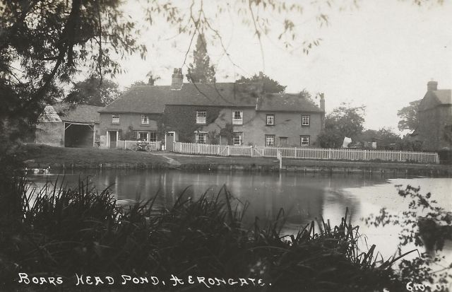 Boars Head Pond, Herongate