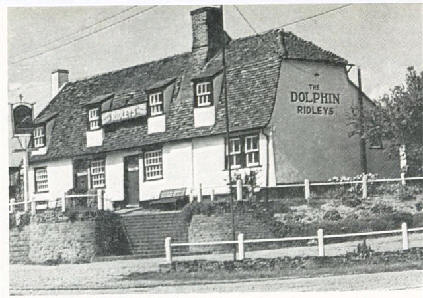 Dolphin in Stisted - 1968