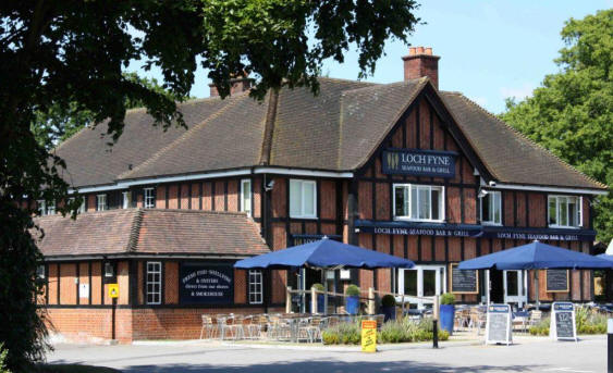 The Plough, 376 London Road, Wokingham - in June 2009