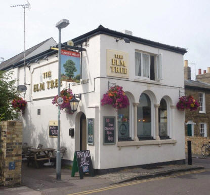 Elm Tree, Orchard Street, Cambridge - in July 2010