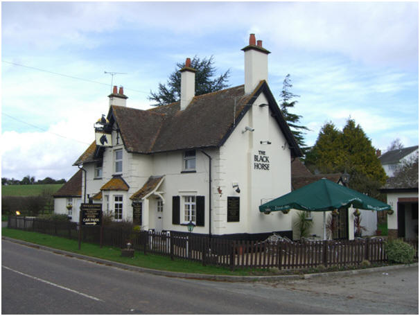 Black Horse, Sturminster Marshall - in March 2009