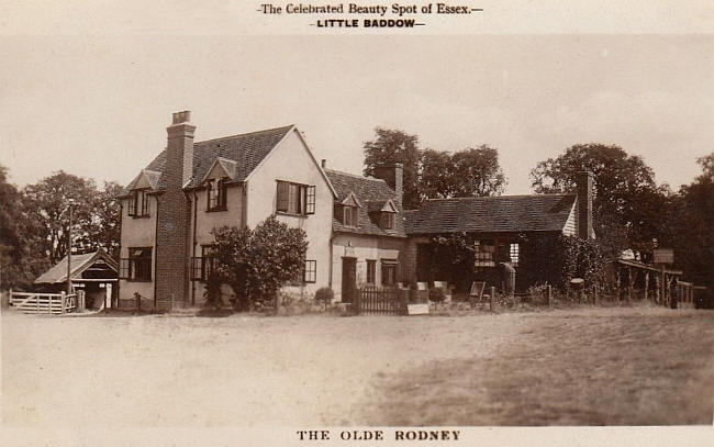 The Olde Rodney, Little Baddow, Essex