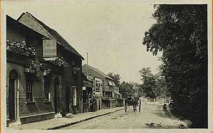 Crocodile, Cheshunt - circa 1925