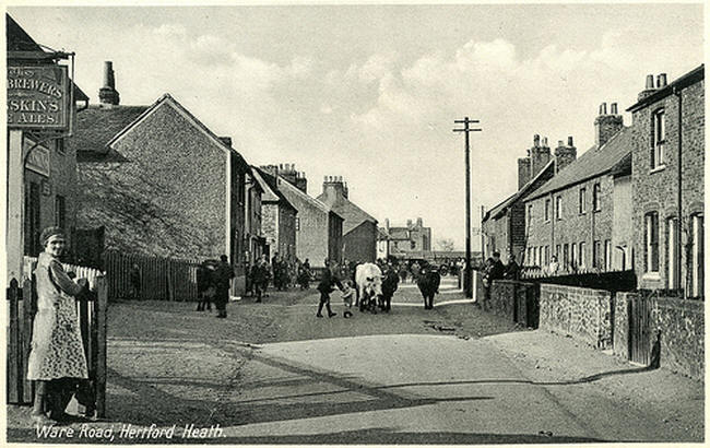 Two Brewers and the village stores, Ware Road, Little Amwell - circa 1930