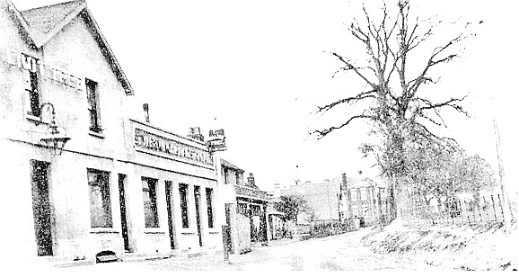 The Walnut Tree, circa 1900 