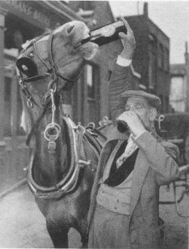 The Pony of Mr Rogers drinking a pint outside the Lord Hood in 1957