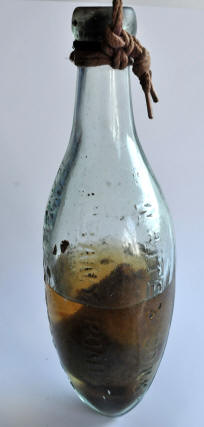 R Whites bottle which hung in the bar. It has a pear with whiskey in it. The pear may have been grown in the orchard at the rear of the pub.