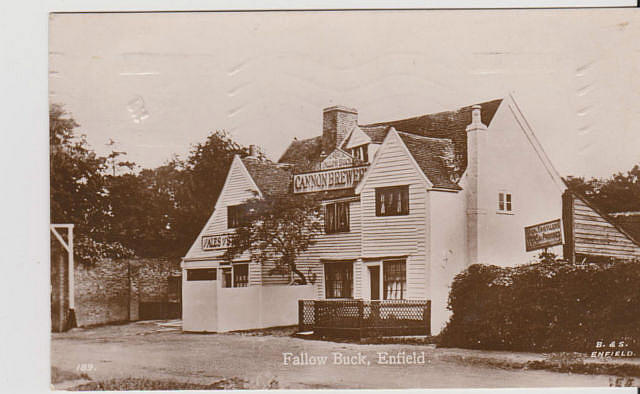 Fallow Buck, Clay Hill, Enfield - posted in 1927