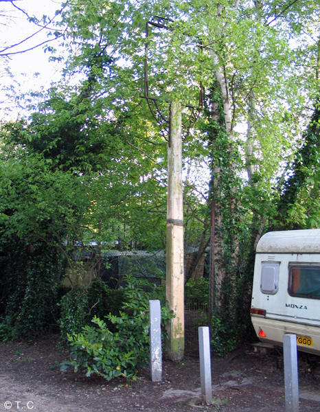 The photo shows the old sign post and frame on the Heath path between the pond and travellers' site.