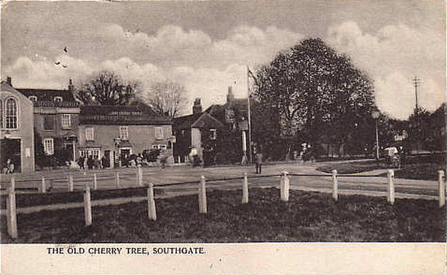 The Old Cherry Tree, Southgate - posted in 1904