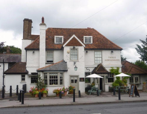 Three Horseshoes, 25 Shepperton Road, Laleham, Staines - in August 2010