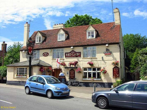 Red Lion, East Bergholt