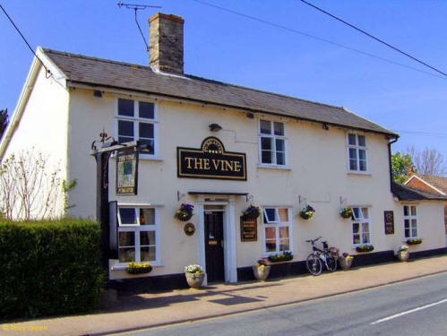 Vine, High Street, Hopton