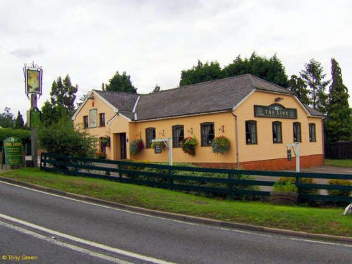 Lion, Leavenheath