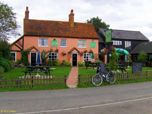 Cock, Polstead