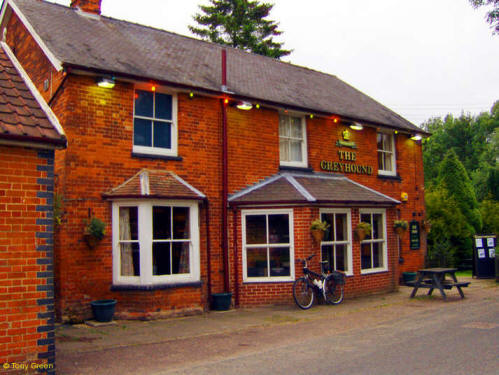 Greyhound, Wickhambrook