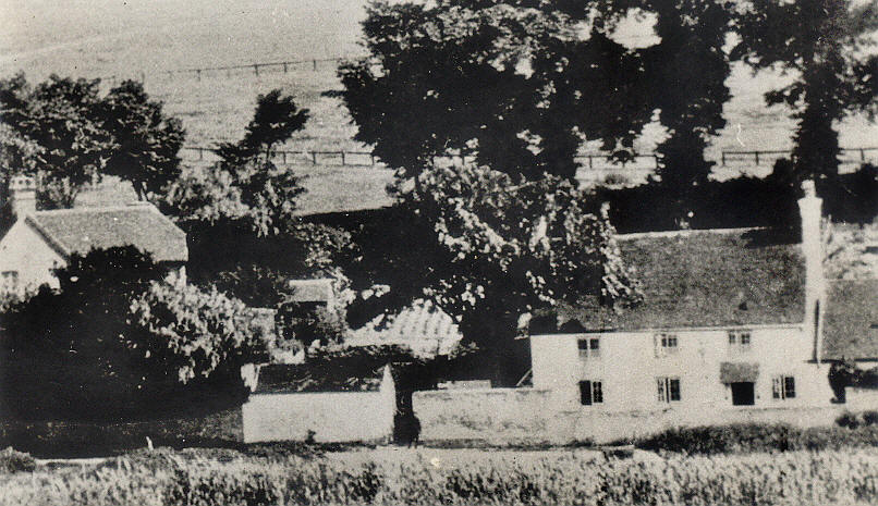 Flying Fish, Denton Road, Newhaven