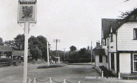 Old Vine, Cousley Wood, Wadhurst - circa 1960